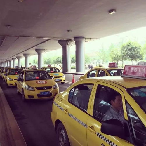 重慶出租車行業(yè)警示 拒載行為將面臨嚴厲處罰