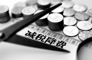 未央區正規教育科技公司快速注冊指南 聚焦西安通稅財務咨詢服務